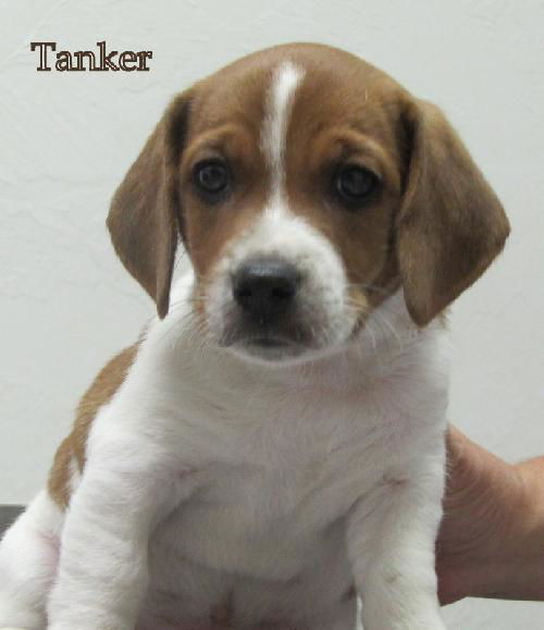 Tanker