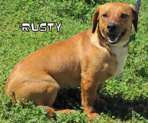 Rusty