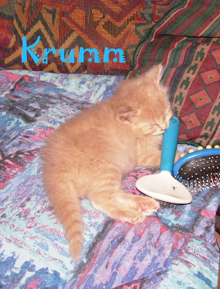 Krumm