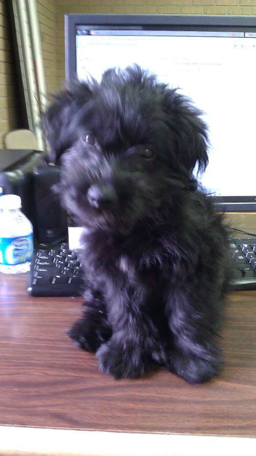 Cubby