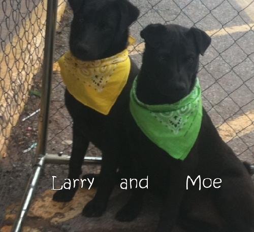Larry & Moe