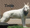 Treble