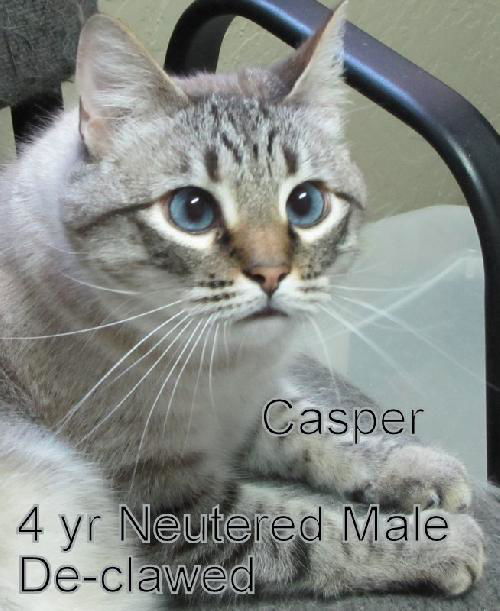 Casper