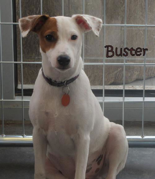 Buster