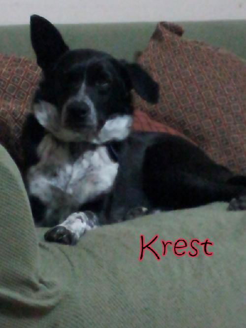 Krest