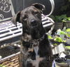 Jethro