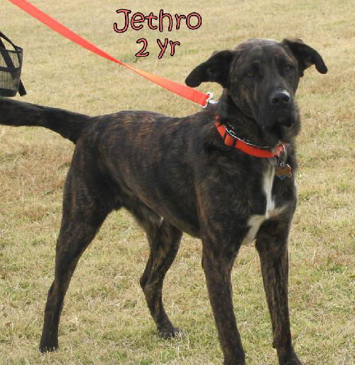 Jethro