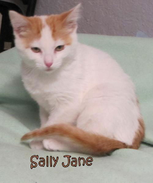 Sally Jane