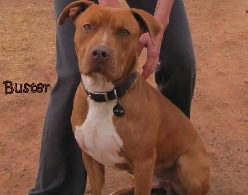 Buster