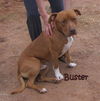 Buster