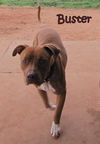 Buster