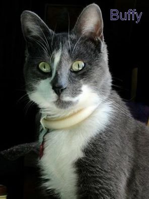 Buffy
