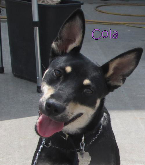Cola