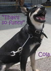 Cola