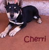 Cherri