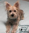 Cracker Jack