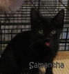 Samantha
