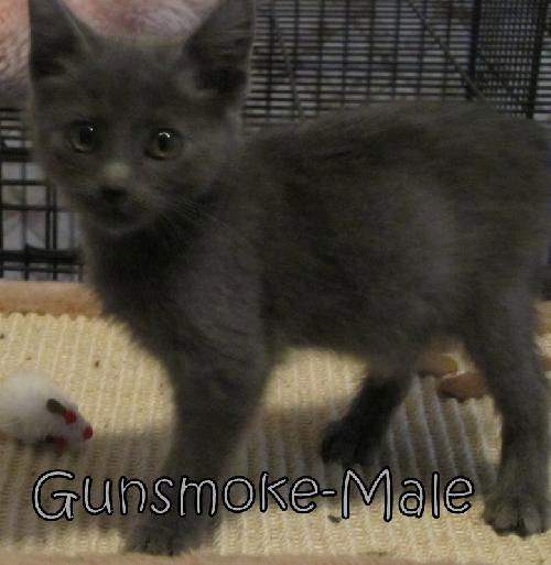 Gunsmoke