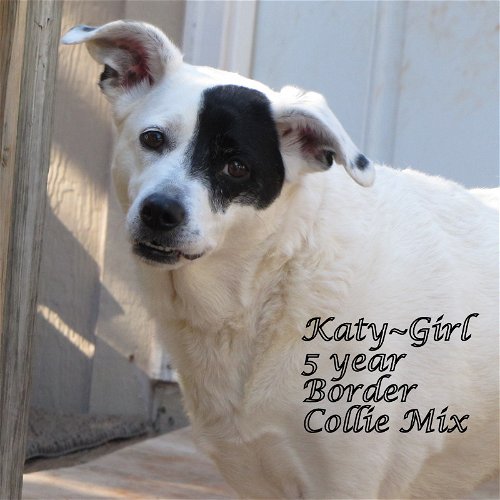 Katy~Girl