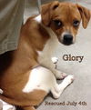 Glory