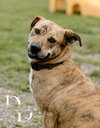 Winifred "Winnie" - Photo 2