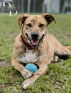 Winifred "Winnie" - Photo 3