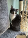 Baby Spice - Photo 2