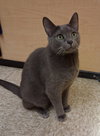Ultra - Photo 2
