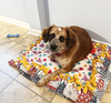 Puppy Summer - Photo 3