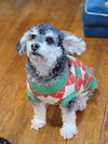 Coby - Photo 2