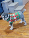 Coby - Photo 3