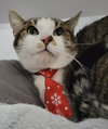Richard - Photo 4