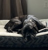 Courtesy Post: Meredith - Photo 3