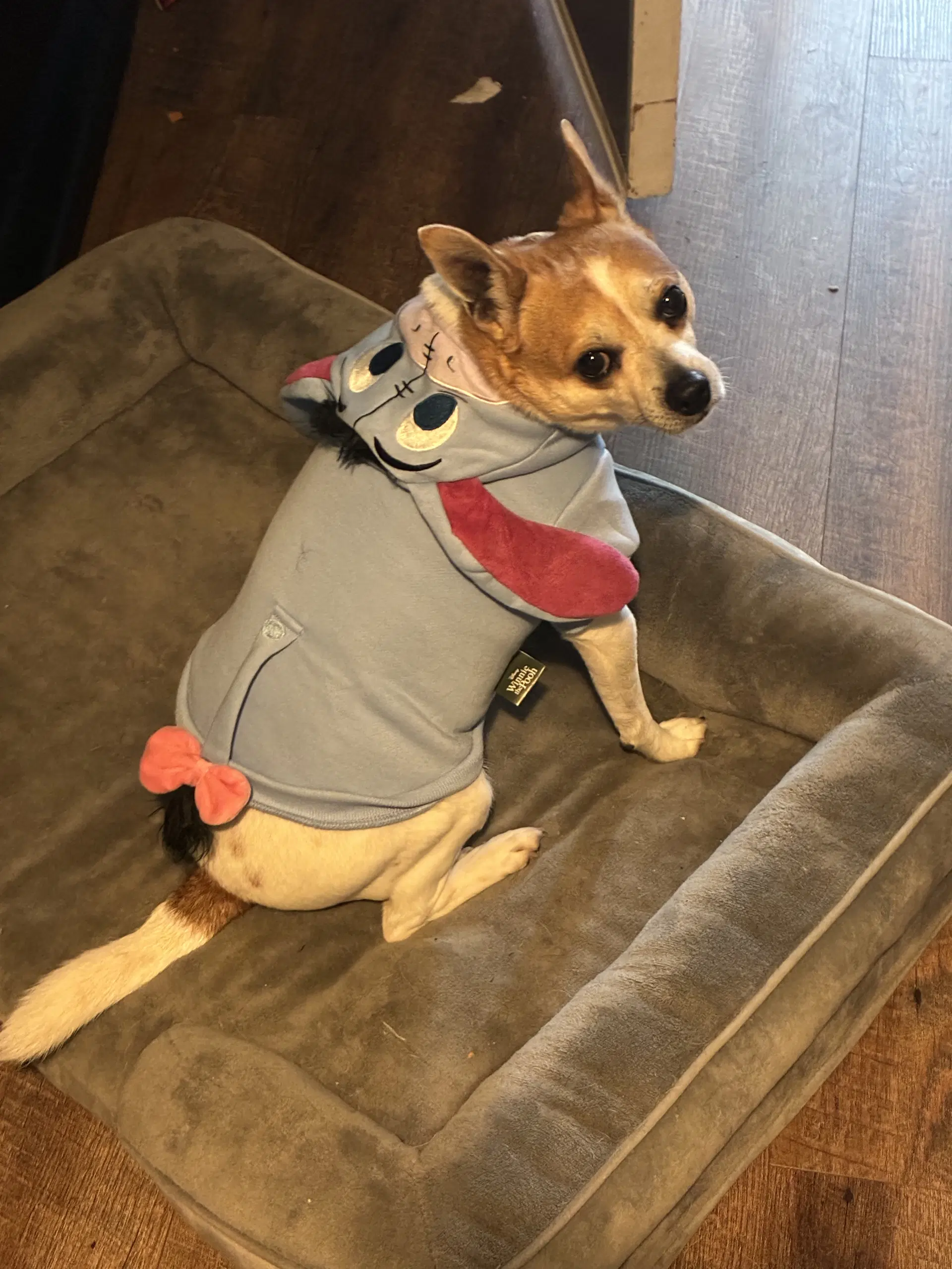 Bruiser image 2
