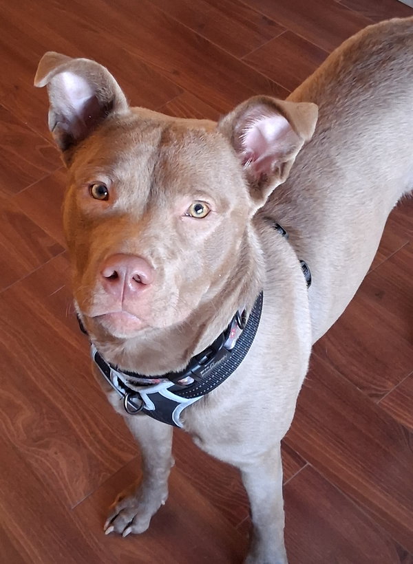 Maisy (See video!)