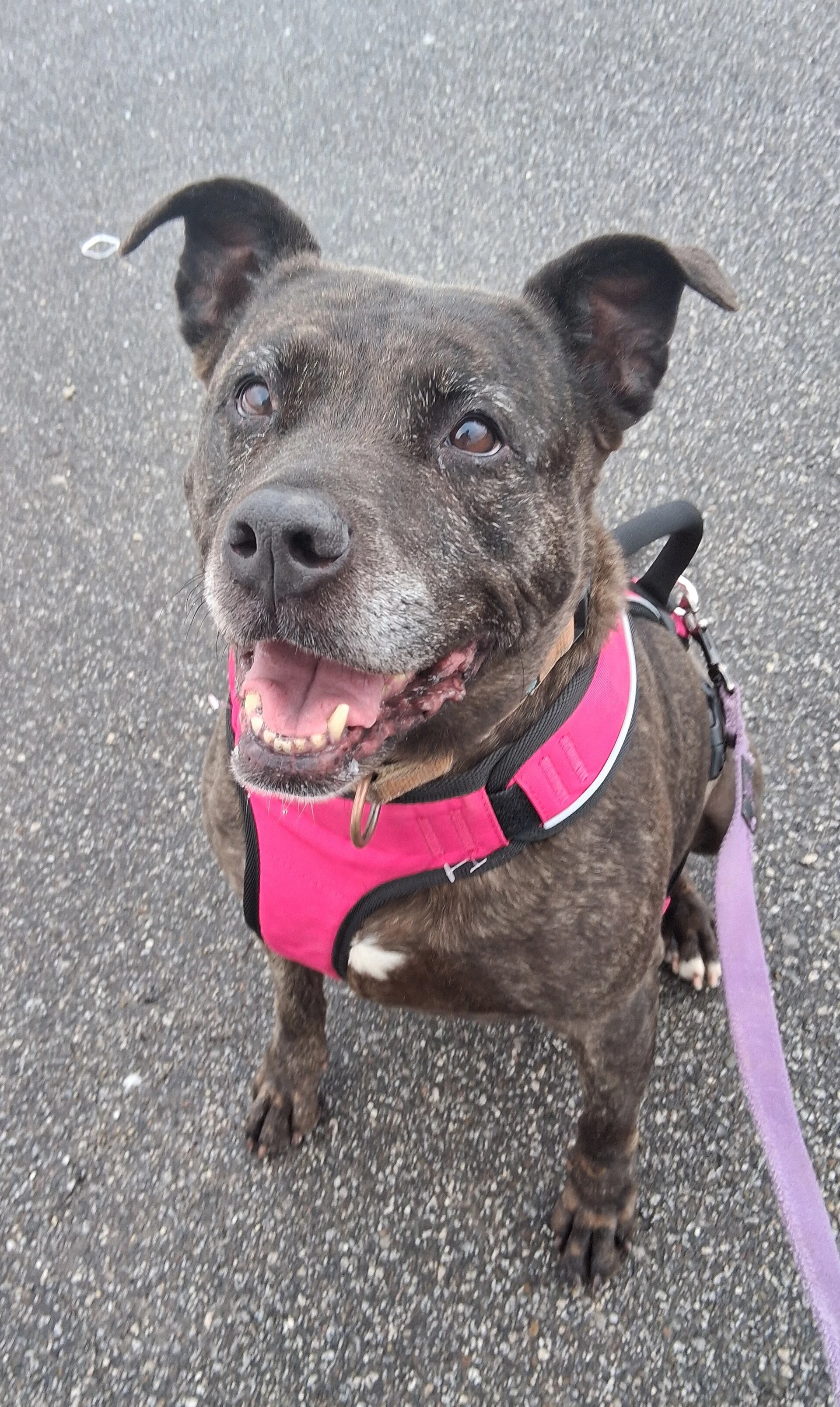 Holly Iso Forever Foster