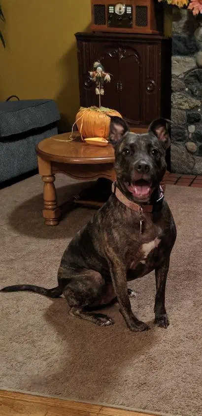 Holly Iso Forever Foster image 3