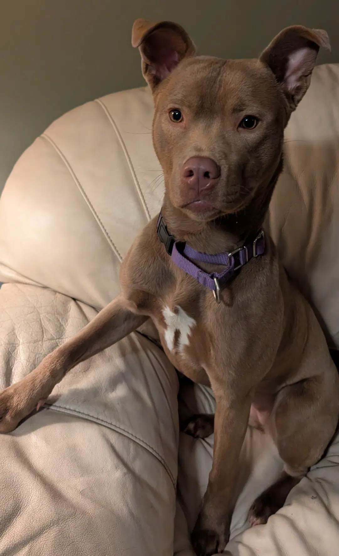 Adorable Maisy image 2