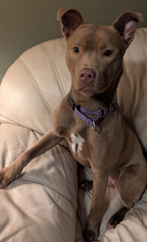 Adorable Maisy photo 2