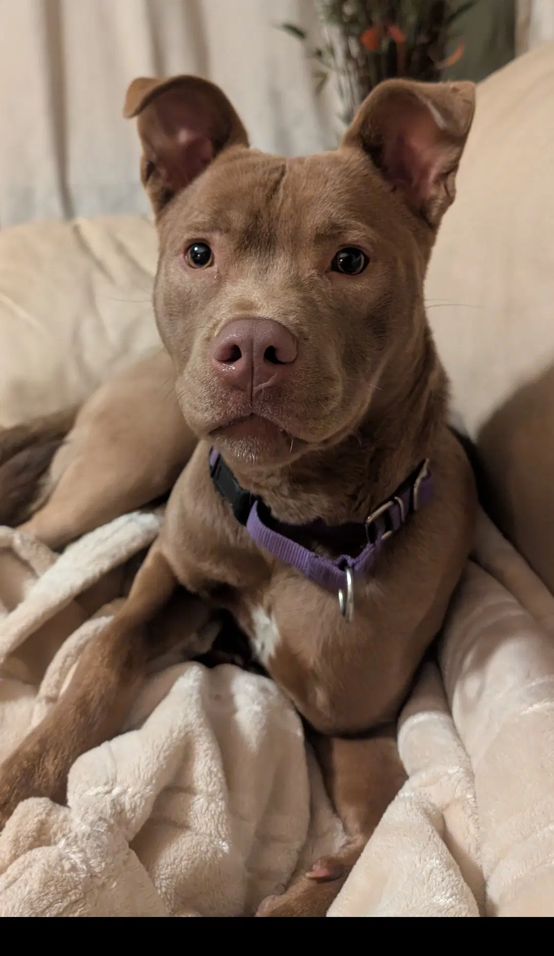Adorable Maisy image 3