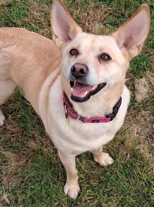 Photo 2 of Bonnie