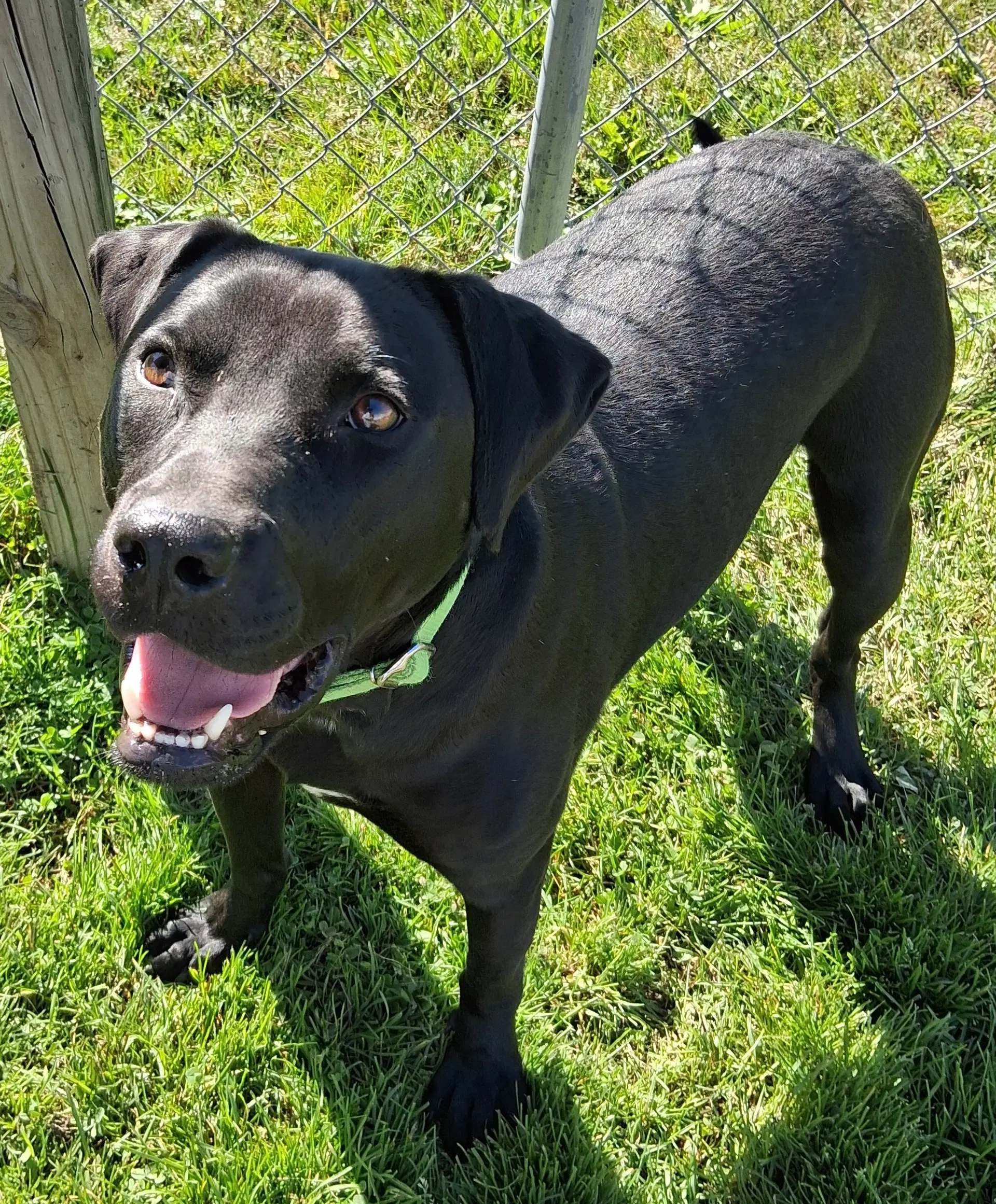 Waffles Has Video image 3