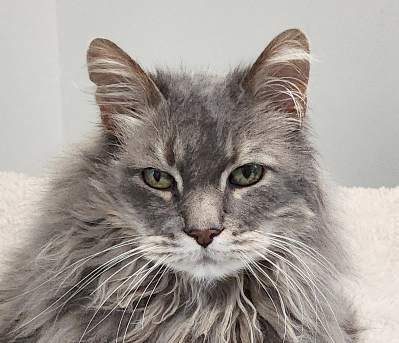 Sebastian