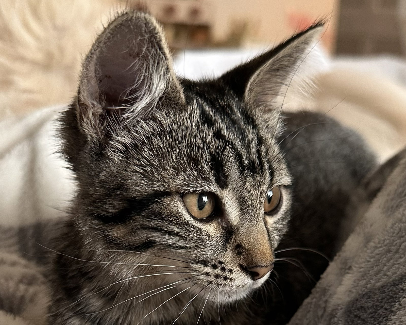 Mia