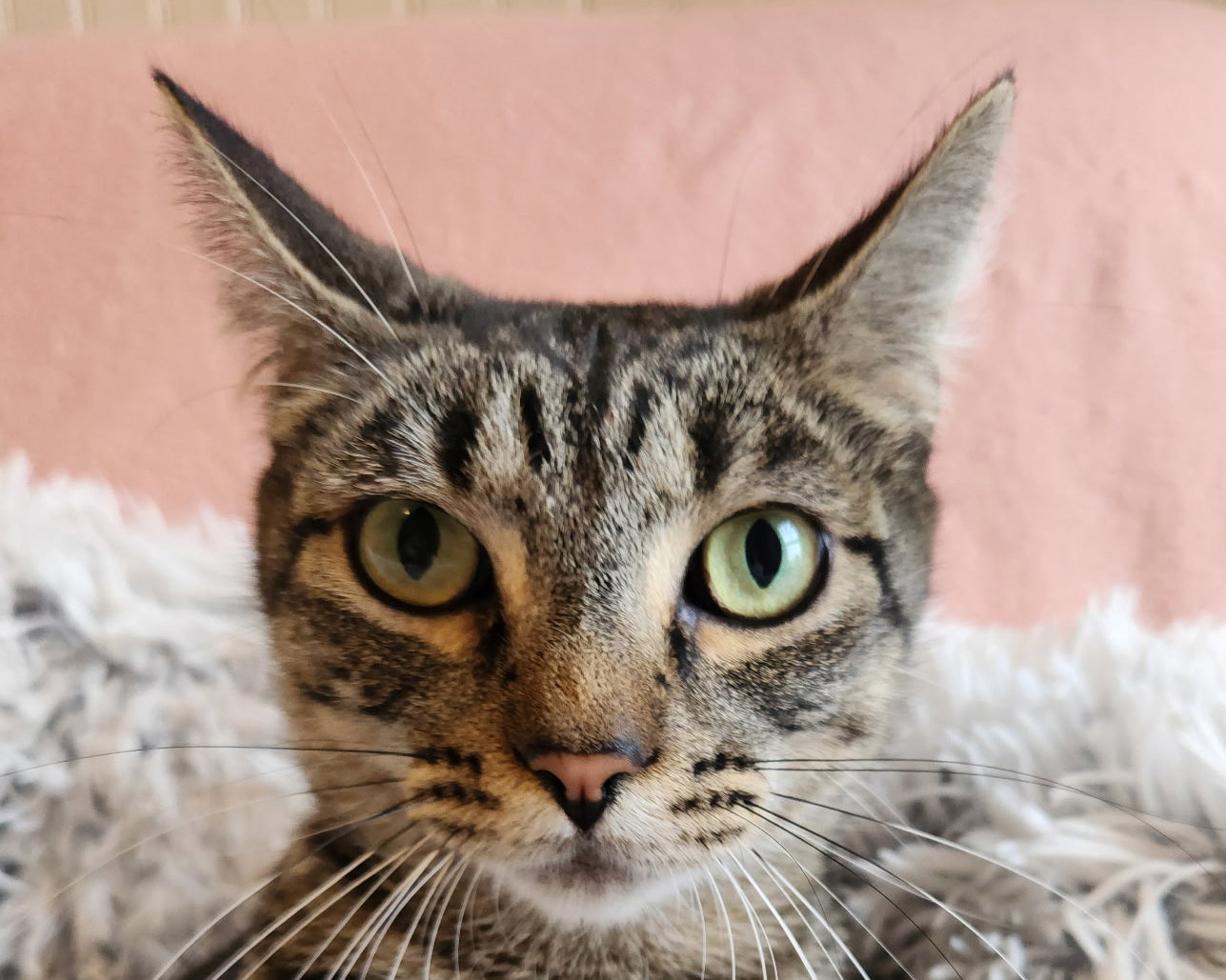 Chloe