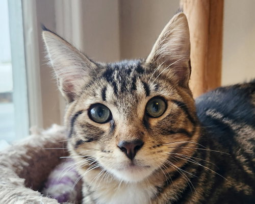 Photo of Lucky