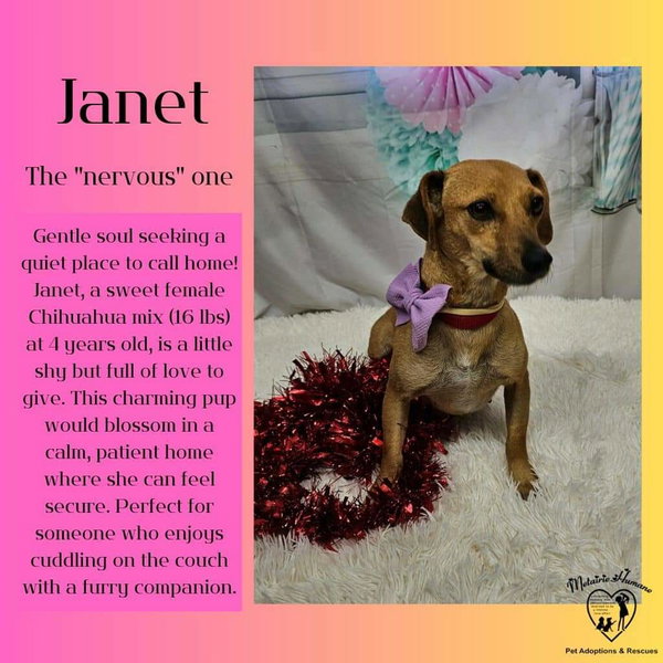 Janet