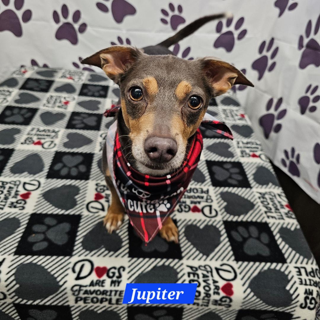 Jupiter