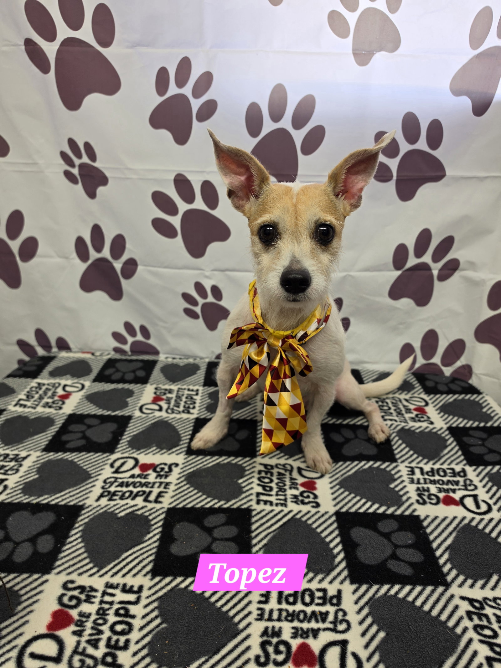 Topez, Chihuahua