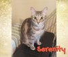 Serenity - Photo 1